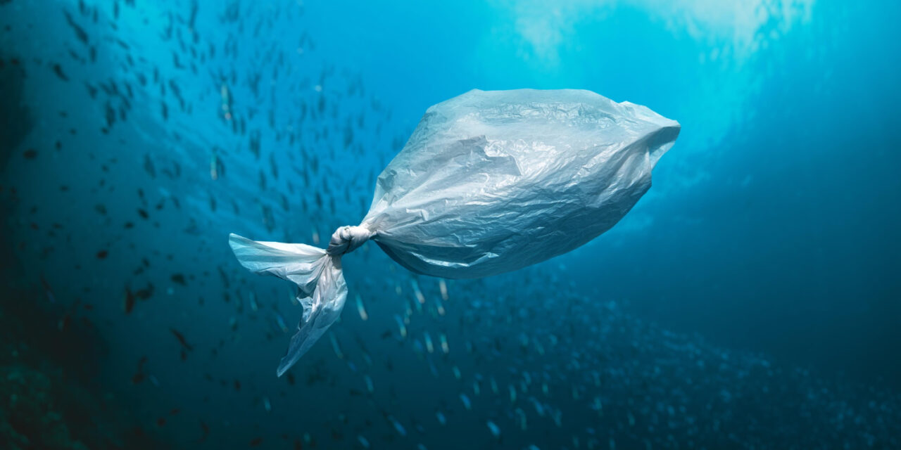 Un estudio revela que el fondo del océano es ya un ‘depósito’ de contaminación plástica