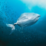 Un estudio revela que el fondo del océano es ya un ‘depósito’ de contaminación plástica