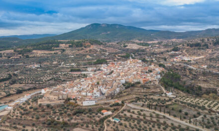 Cinco ayuntamientos y sus vecinos se unen para rechazar un posible centro para inmigrantes en Granada