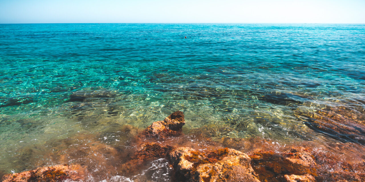 Expertos, técnicos y científicos se reunirán para poner en común estrategias para recuperar el Mar Menor