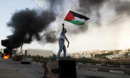 Al menos 19 palestinos muertos tras un bombardeo israelí contra Rafá, en el sur de la Franja de Gaza