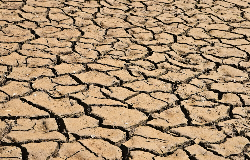 La Alianza por el Clima convoca un encuentro por la justicia climática el 1 de junio en Bilbao
