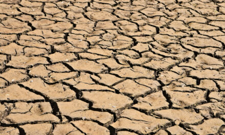 La Alianza por el Clima convoca un encuentro por la justicia climática el 1 de junio en Bilbao