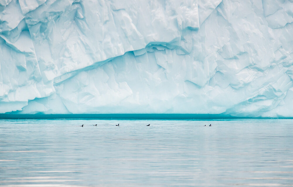 El mayor iceberg del mundo, más grande que Mallorca, navega ya hacia mar abierto