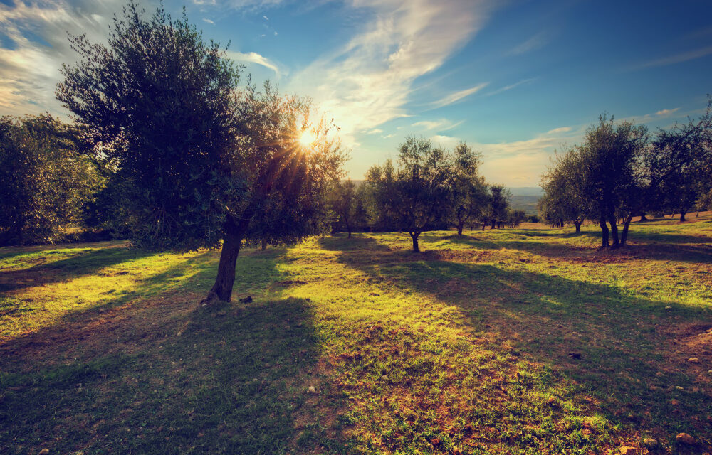 España ya está en déficit ecológico: este lunes ha consumido todos los recursos naturales que le corresponden para el año 2024