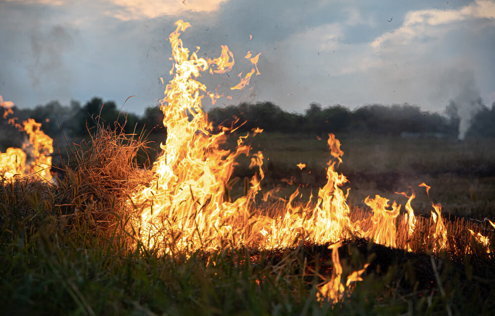 La lucha contra los incendios forestales suma 5 drones y roza los 6.000 efectivos en Madrid