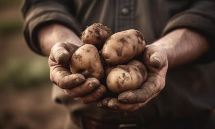Uno de cada cuatro agricultores europeos son migrantes víctimas de explotación laboral
