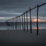 Los Veintisiete aprueban definitivamente la Ley de Restauración de la Naturaleza que ha dividido a la UE en los últimos años