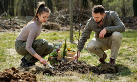 Plantar un árbol, absorber 200 kg de CO2: los bosques creados para capturar emisiones cubren ya 17.000 hectáreas en España