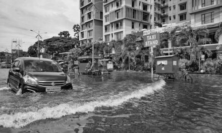 Supervivencia ante emergencias climáticas: ¿cómo salir de un coche arrastrado por el agua?