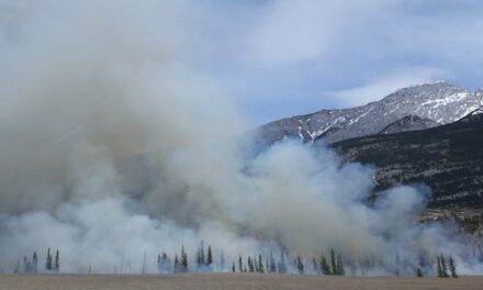 Ribera pondrá a disposición de las CC AA seis aviones menos de los que había previsto para ayudarles a luchar contra los incendios