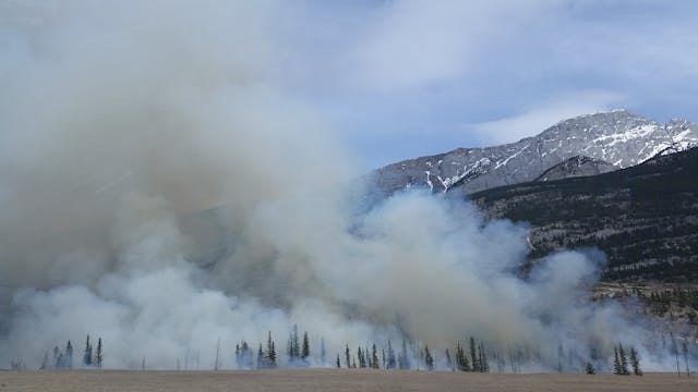 Ribera pondrá a disposición de las CC AA seis aviones menos de los que había previsto para ayudarles a luchar contra los incendios